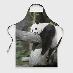 Фартук кулинарный Большая уставшая панда, цвет: 3D-принт