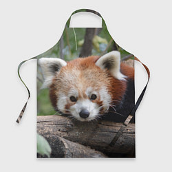 Фартук кулинарный Красная панда, цвет: 3D-принт