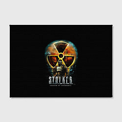 Холст прямоугольный STALKER: Shadow of Chernobyl, цвет: 3D-принт — фото 2