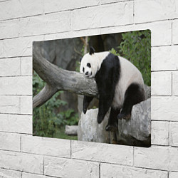 Холст прямоугольный Большая уставшая панда, цвет: 3D-принт — фото 2