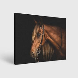 Холст прямоугольный Взгляд коня, цвет: 3D-принт