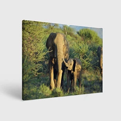 Холст прямоугольный Семья слонов в природе, цвет: 3D-принт