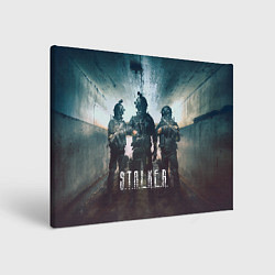 Холст прямоугольный Stalker the game, цвет: 3D-принт