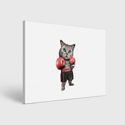 Холст прямоугольный Кот боксёр, цвет: 3D-принт