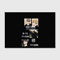 Холст прямоугольный Братья мия мию волейбол, цвет: 3D-принт — фото 2