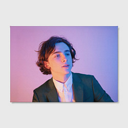 Холст прямоугольный Timothee Chalamet, цвет: 3D-принт — фото 2