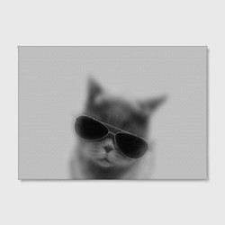 Холст прямоугольный Крутой кот в очках в тумане, цвет: 3D-принт — фото 2