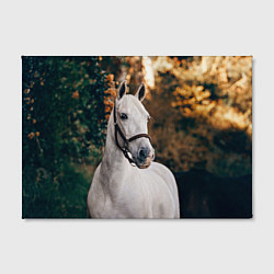 Холст прямоугольный Белая лошадка, цвет: 3D-принт — фото 2