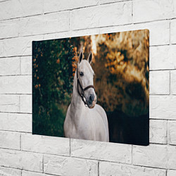 Холст прямоугольный Белая лошадка, цвет: 3D-принт — фото 2