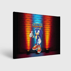 Холст прямоугольный Sonic - Hedgehog - Video game - жест, цвет: 3D-принт