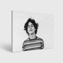 Холст прямоугольный Timothee Chalamet black white photo, цвет: 3D-принт