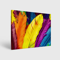 Холст прямоугольный Разноцветные перья птиц, цвет: 3D-принт
