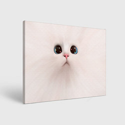 Холст прямоугольный Милый кот с большими глазами, цвет: 3D-принт
