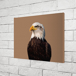 Холст прямоугольный Белоголовый орлан птица, цвет: 3D-принт — фото 2