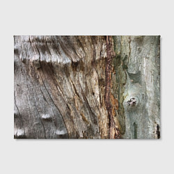 Холст прямоугольный Текстура коры дерева платана, цвет: 3D-принт — фото 2