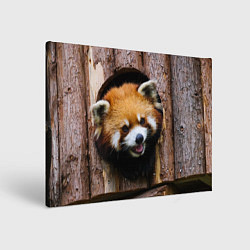 Холст прямоугольный Красная панда в дереве, цвет: 3D-принт