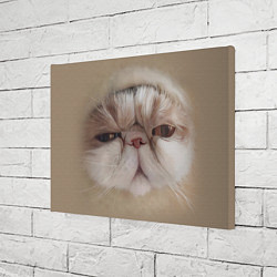 Холст прямоугольный Кот буханка, цвет: 3D-принт — фото 2
