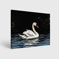 Холст прямоугольный Белый лебедь ночью, цвет: 3D-принт