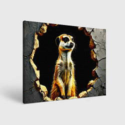 Холст прямоугольный Сурикат на черном, цвет: 3D-принт