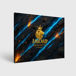 Холст прямоугольный Александр лев по натуре, цвет: 3D-принт