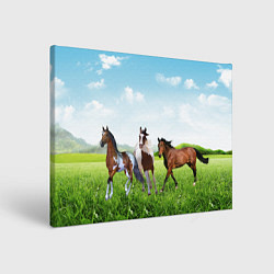 Картина прямоугольная Лошади в степи