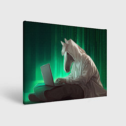Холст прямоугольный Хакер лошадь, цвет: 3D-принт