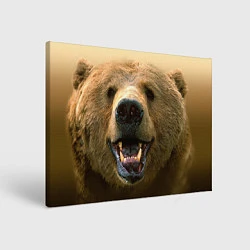 Холст прямоугольный Взгляд медведя, цвет: 3D-принт