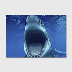 Холст прямоугольный Белая акула, цвет: 3D-принт — фото 2