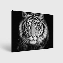 Холст прямоугольный Красавец тигр, цвет: 3D-принт