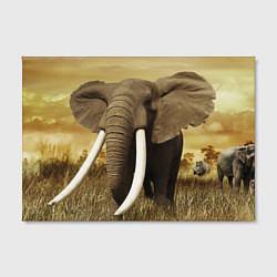 Холст прямоугольный Могучий слон, цвет: 3D-принт — фото 2