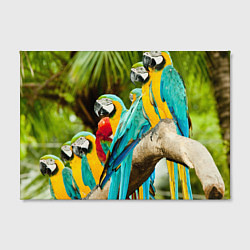 Холст прямоугольный Попугаи на ветке, цвет: 3D-принт — фото 2