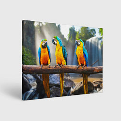 Холст прямоугольный Экзотические попугаи, цвет: 3D-принт