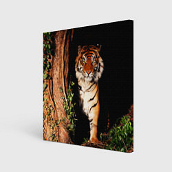Холст квадратный Тигр выглядывает из темноты - большая картинка, цвет: 3D-принт