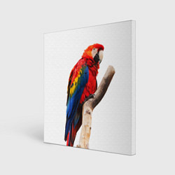 Холст квадратный Яркий попугай, цвет: 3D-принт