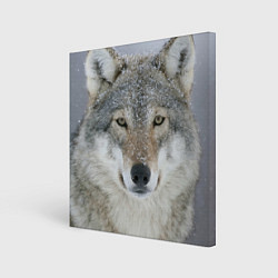 Холст квадратный Милый волк, цвет: 3D-принт