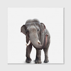 Холст квадратный Большой слон, цвет: 3D-принт — фото 2