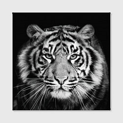 Холст квадратный Мордочка тигра, цвет: 3D-принт — фото 2