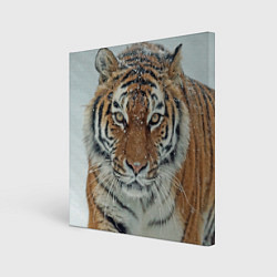 Холст квадратный Тигр в снегу, цвет: 3D-принт