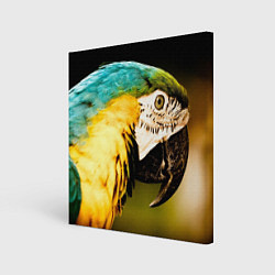 Холст квадратный Улыбка попугая, цвет: 3D-принт