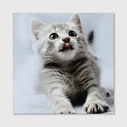 Холст квадратный Серый котенок, цвет: 3D-принт — фото 2