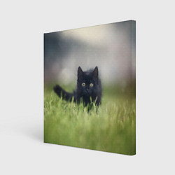 Холст квадратный Черный кот на лугу, цвет: 3D-принт