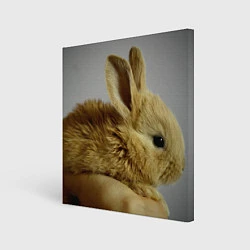 Холст квадратный Маленький кролик, цвет: 3D-принт