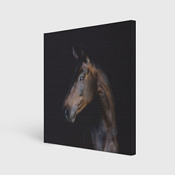 Холст квадратный Лошадь Благородство, цвет: 3D-принт