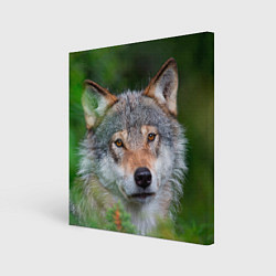 Холст квадратный Волк на фоне зелени, цвет: 3D-принт