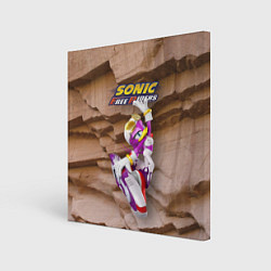 Картина квадратная Wave the Swallow - Sonic Free Riders