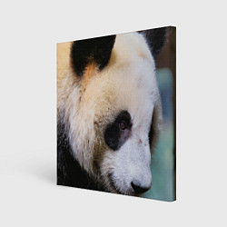 Холст квадратный Загадочная панда, цвет: 3D-принт