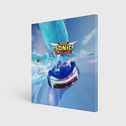Холст квадратный Team Sonic racing - hedgehog - speed, цвет: 3D-принт