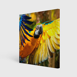 Холст квадратный Взлёт попугая, цвет: 3D-принт