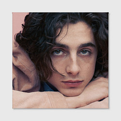 Холст квадратный Timothe Chalamet on a pink background, цвет: 3D-принт — фото 2