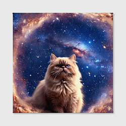 Холст квадратный Гималайская кошка в космосе, цвет: 3D-принт — фото 2